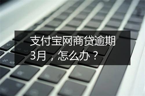 支付宝网商贷逾期3月，怎么办？