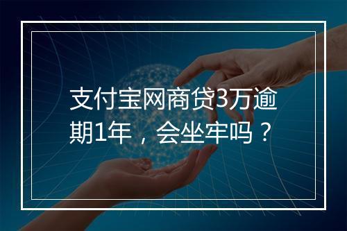 支付宝网商贷3万逾期1年，会坐牢吗？