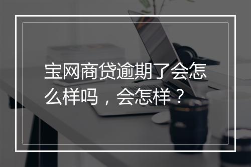 宝网商贷逾期了会怎么样吗，会怎样？