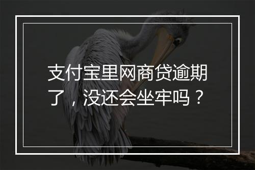 支付宝里网商贷逾期了，没还会坐牢吗？