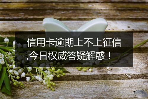 信用卡逾期上不上征信,今日权威答疑解惑！