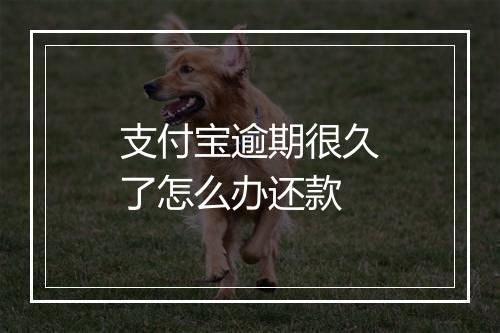 支付宝逾期很久了怎么办还款