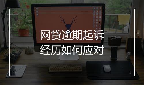网贷逾期起诉经历如何应对