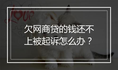 欠网商贷的钱还不上被起诉怎么办？
