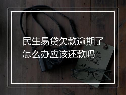 民生易贷欠款逾期了怎么办应该还款吗