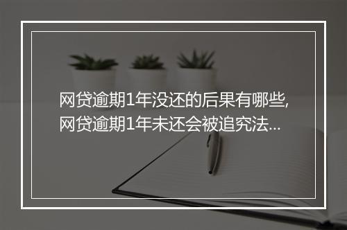 网贷逾期1年没还的后果有哪些,网贷逾期1年未还会被追究法律责任吗
