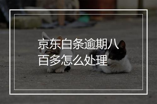 京东白条逾期八百多怎么处理
