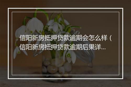 信阳新房抵押贷款逾期会怎么样（信阳新房抵押贷款逾期后果详解）