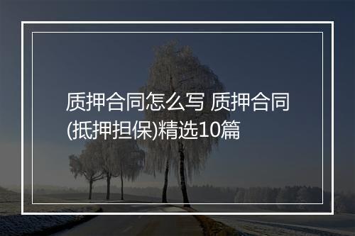 质押合同怎么写 质押合同(抵押担保)精选10篇