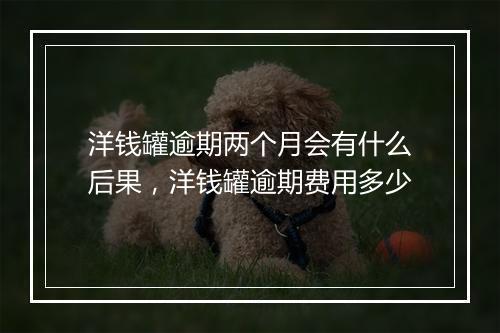 洋钱罐逾期两个月会有什么后果，洋钱罐逾期费用多少