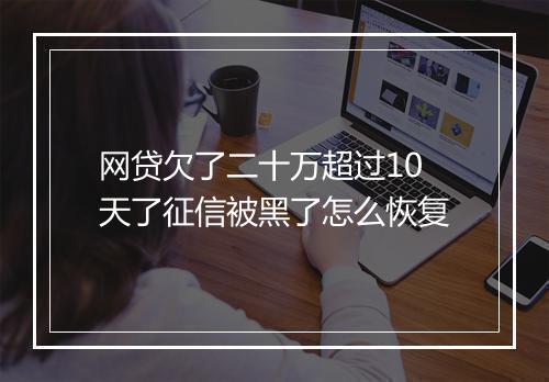 网贷欠了二十万超过10天了征信被黑了怎么恢复