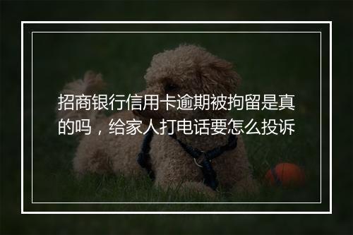 招商银行信用卡逾期被拘留是真的吗，给家人打电话要怎么投诉