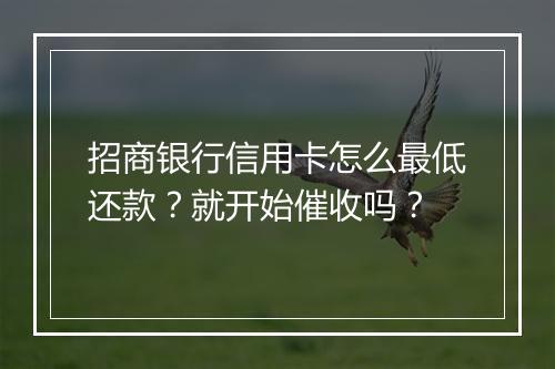 招商银行信用卡怎么最低还款？就开始催收吗？