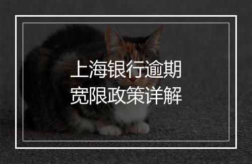 上海银行逾期宽限政策详解
