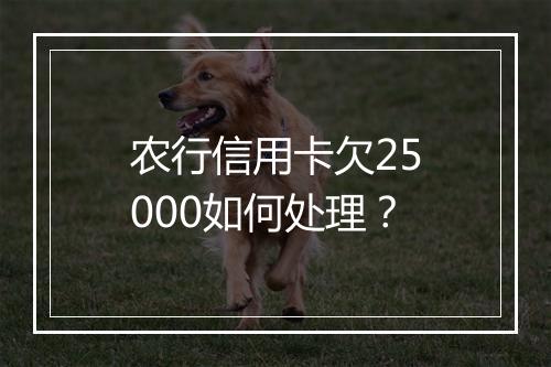 农行信用卡欠25000如何处理？