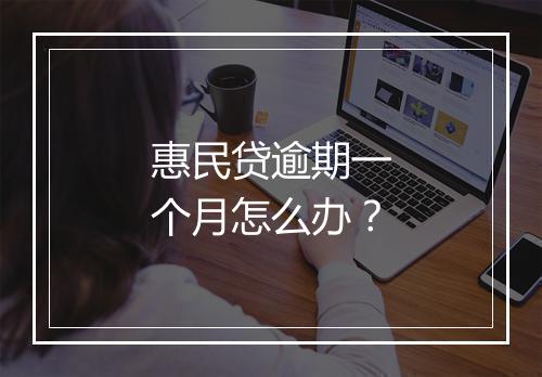 惠民贷逾期一个月怎么办？