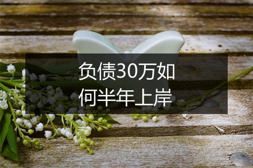 负债30万如何半年上岸
