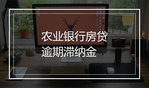 农业银行房贷逾期滞纳金