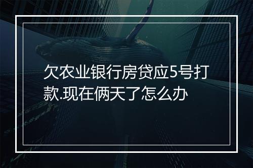 欠农业银行房贷应5号打款.现在俩天了怎么办