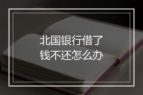 北国银行借了钱不还怎么办