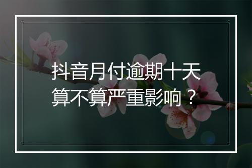 抖音月付逾期十天算不算严重影响？