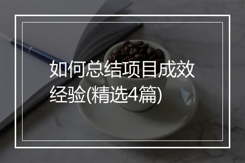 如何总结项目成效经验(精选4篇)