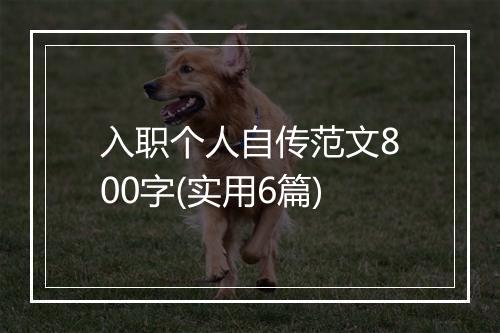 入职个人自传范文800字(实用6篇)