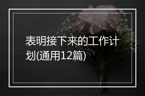 表明接下来的工作计划(通用12篇)