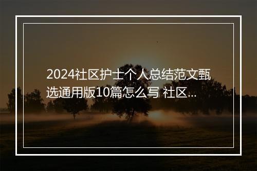 2024社区护士个人总结范文甄选通用版10篇怎么写 社区护士个人总结范文甄选通用版10篇