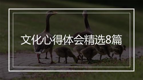 文化心得体会精选8篇