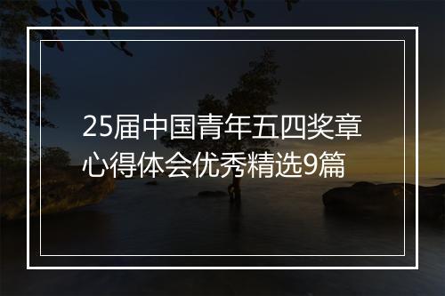 25届中国青年五四奖章心得体会优秀精选9篇