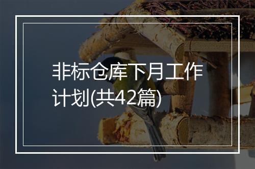 非标仓库下月工作计划(共42篇)