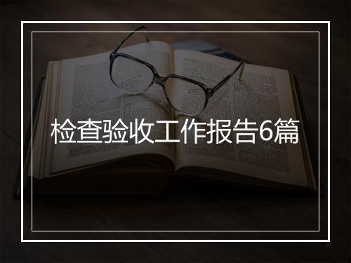 检查验收工作报告6篇