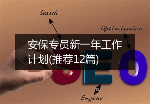 安保专员新一年工作计划(推荐12篇)