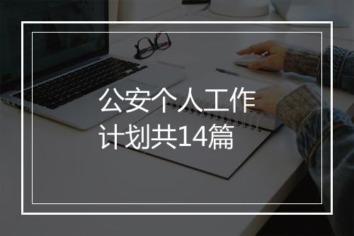 公安个人工作计划共14篇
