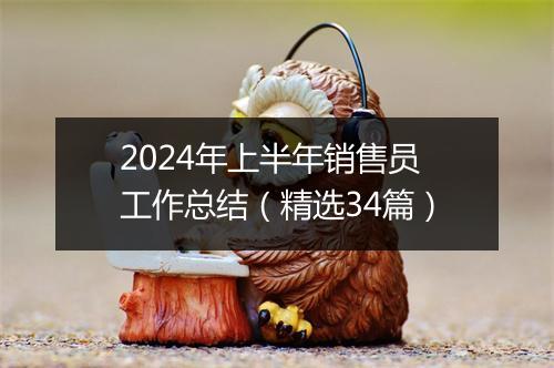 2024年上半年销售员工作总结（精选34篇）