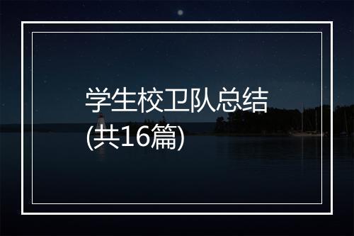 学生校卫队总结(共16篇)