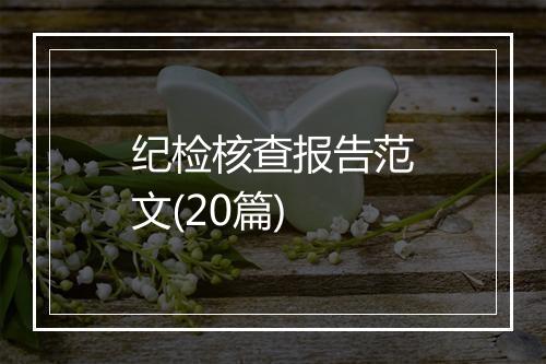 纪检核查报告范文(20篇)