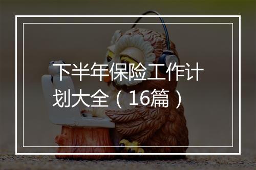 下半年保险工作计划大全（16篇）