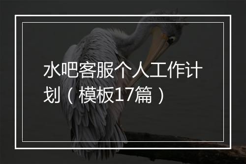 水吧客服个人工作计划（模板17篇）