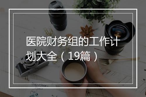 医院财务组的工作计划大全（19篇）