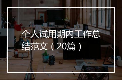 个人试用期内工作总结范文（20篇）