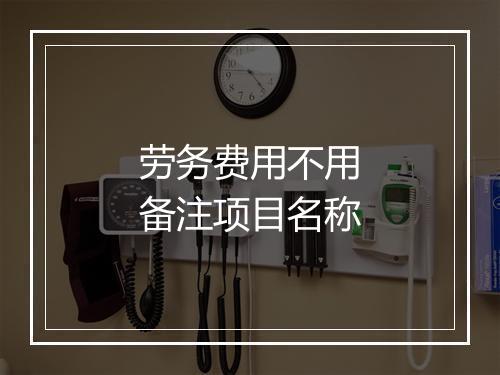 劳务费用不用备注项目名称