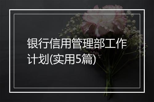 银行信用管理部工作计划(实用5篇)