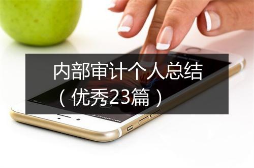 内部审计个人总结（优秀23篇）