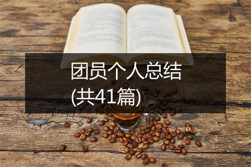 团员个人总结(共41篇)