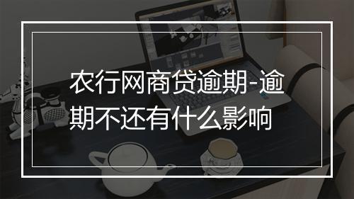农行网商贷逾期-逾期不还有什么影响