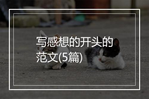 写感想的开头的范文(5篇)