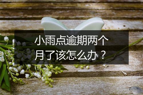 小雨点逾期两个月了该怎么办？