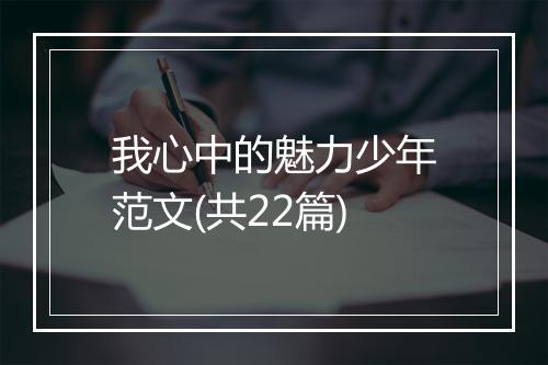 我心中的魅力少年范文(共22篇)